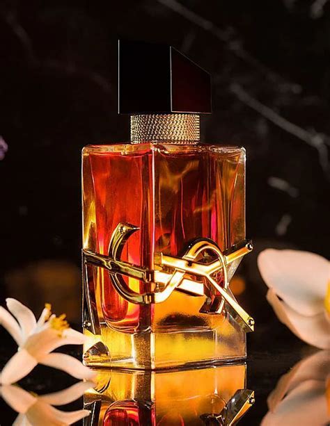 The Ultimate Guide To The YSL Libre Perfume Range